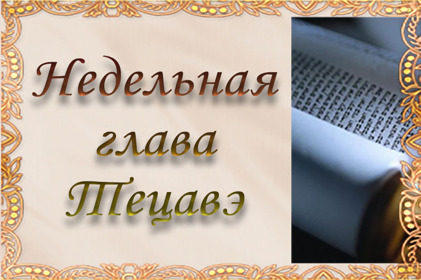 Недельная глава Тэцавэ