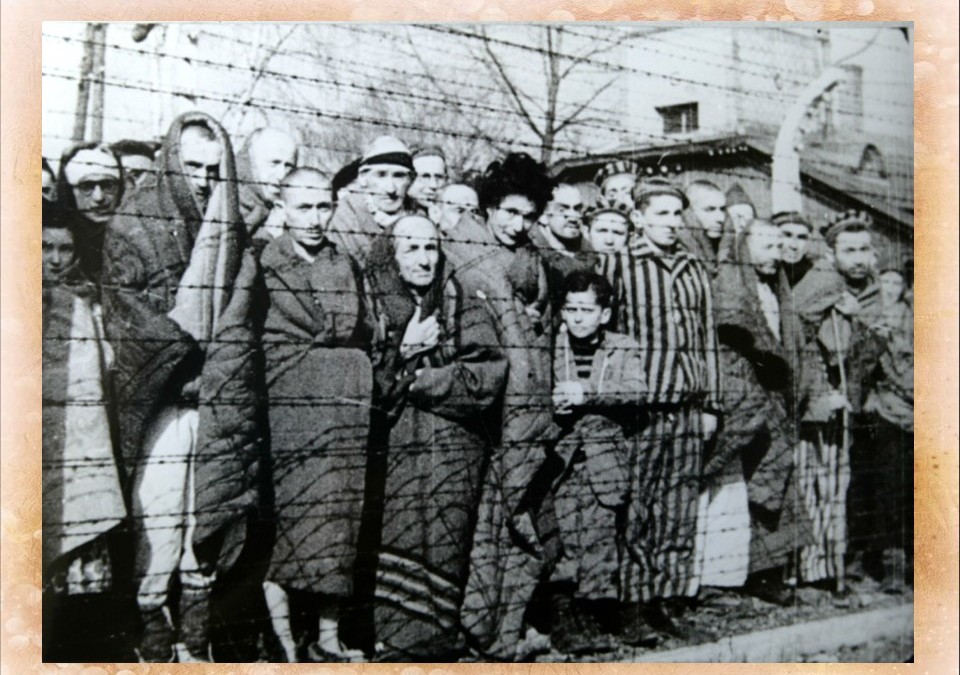 Участие евреев Днепропетровской обл. во Второй Мировой войне