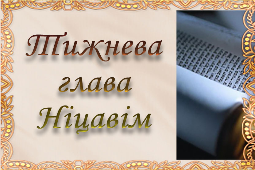 Тижнева глава “Ніцавім”