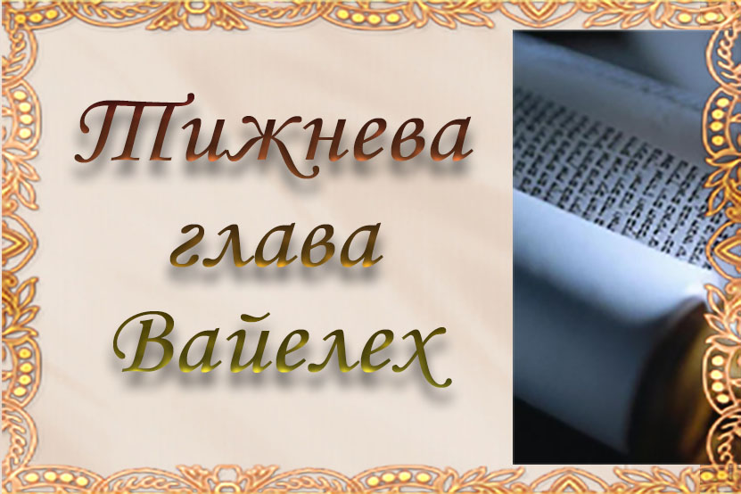 Тижева глава “Вайелех”