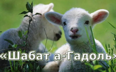 Прийдешня Субота носить титул «Великої» – «Шабат а-Гадоль»