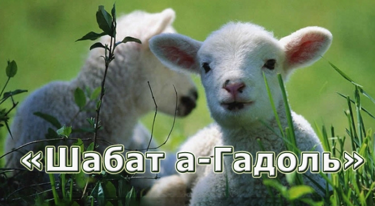 Прийдешня Субота носить титул «Великої» – «Шабат а-Гадоль»